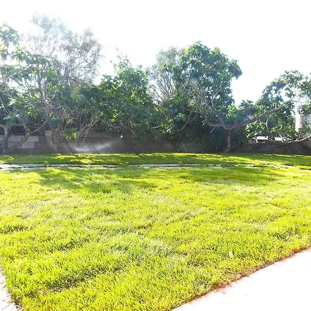 Quadrifoglio 산테오도로